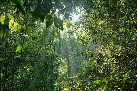 Nationaal Park Corcovado: Sirena Station Overnachting - 2 Dagen