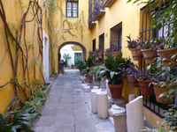 Visite du quartier de Santa Cruz et juif de Séville - Housity