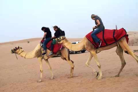 Nocleg Dubai Desert Safari z kolacją BBQ