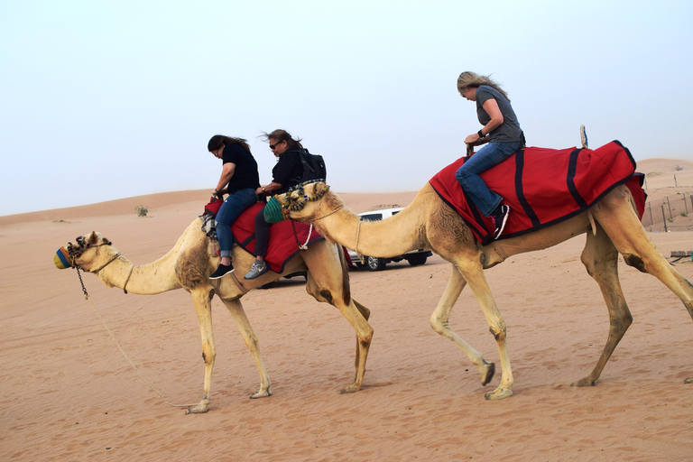 Dubaï : safari et nuit dans le désert avec dîner barbecue