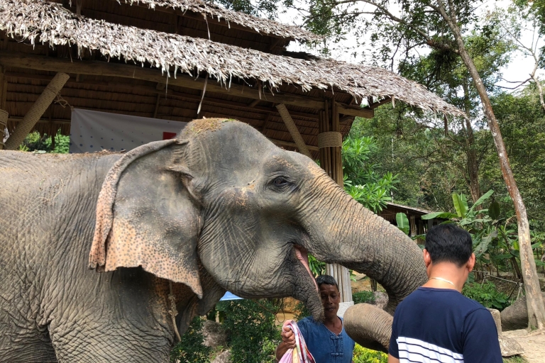 Von Phuket & Khao Lak: Elefantenpflege mit WasserfallbesuchAb Phuket