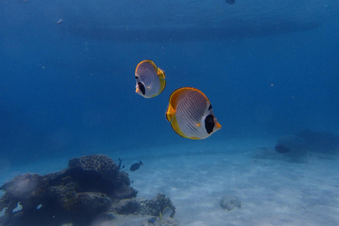 Bali: Tauchen in der Blauen Lagune von PadangbaiBali: Padangbai Bluelagoon