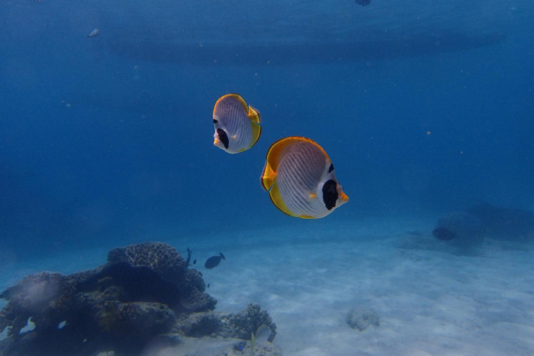 Bali: Mergulho na lagoa azul de PadangbaiBali: Padangbai Bluelagoon