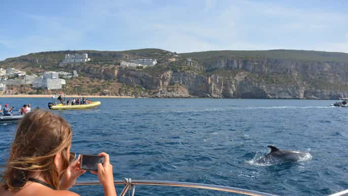 sesimbra tour con avvistamento dei delfini