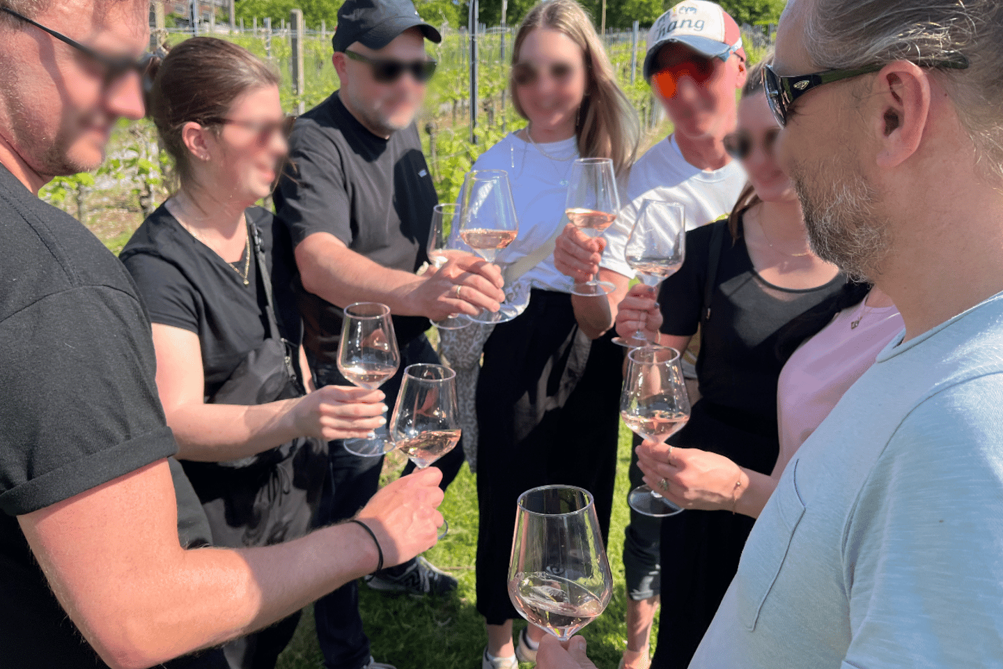 斯图加特精品酒庄徒步游：探索美酒与酿酒师小吃