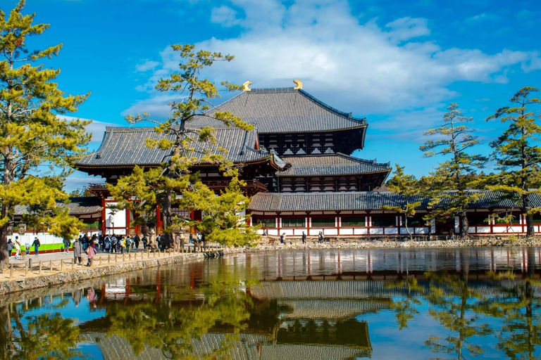 Kyoto & Nara: Private Family Tour with Hotel Pickup