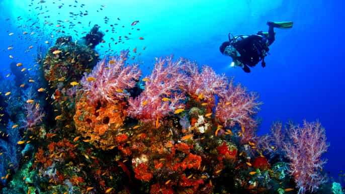 kusadasi diving experiance
