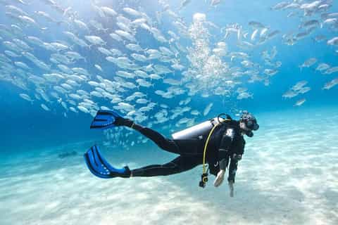Kusadasi Diving Experiance