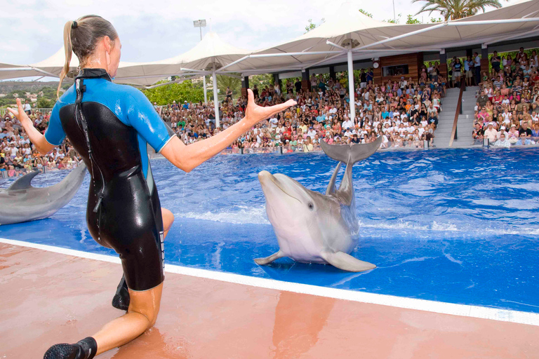 Mallorca: Marineland Tickets with Transfers from the North