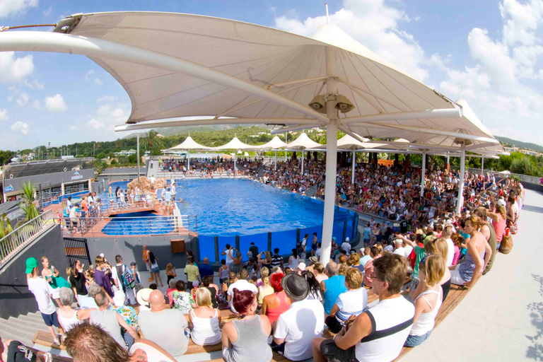 Mallorca: Marineland Tickets with Transfers from the North