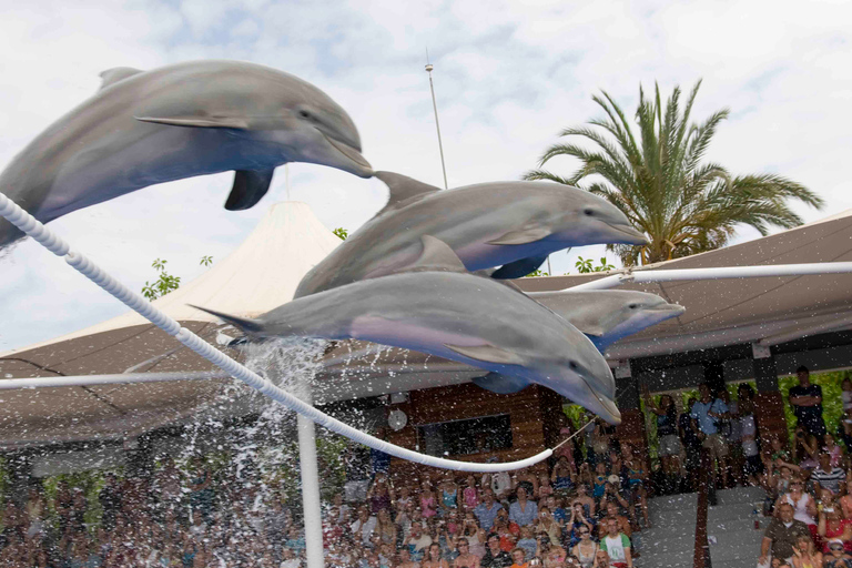 Mallorca: Marineland Tickets with Transfers from the North