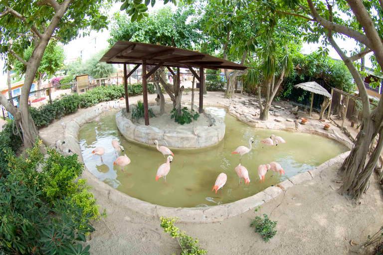 Mallorca: Marineland Tickets with Transfers from the North