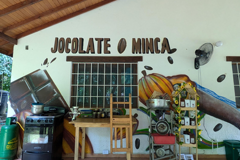 ATELIER CACAO À LA CASA JOCOLATEATELIER SUR LE CACAO À LA CASA JOCOLATE