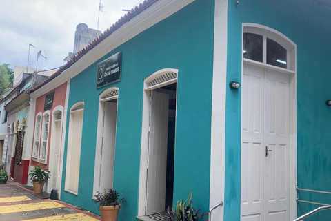 Manaus: Historical City Tour Historical City Tour