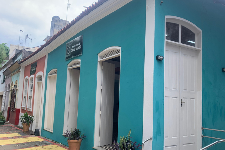 Manaus: Historical City Tour Historical City Tour