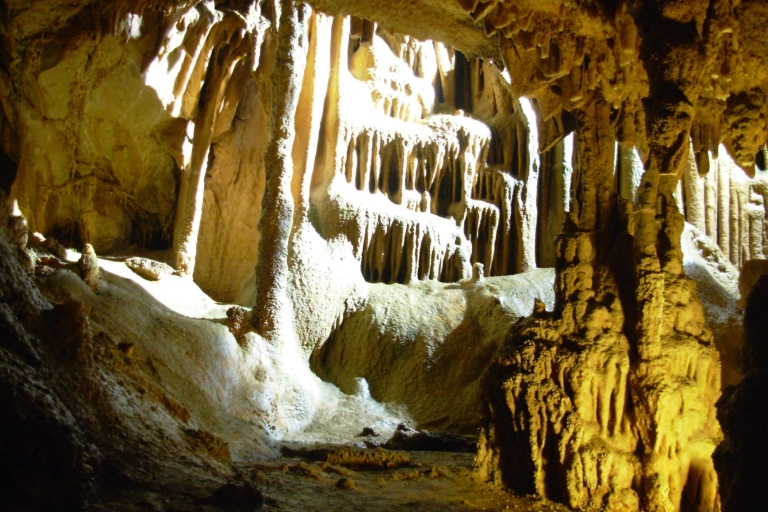 Desde Belgrado: Monasterios medievales y visita a la cueva de ResavaGrupo pequeño hasta 8 personas