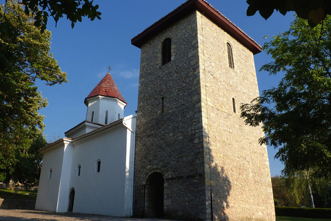 Desde Belgrado: tour de día completo de la dinastía real y Serbia central