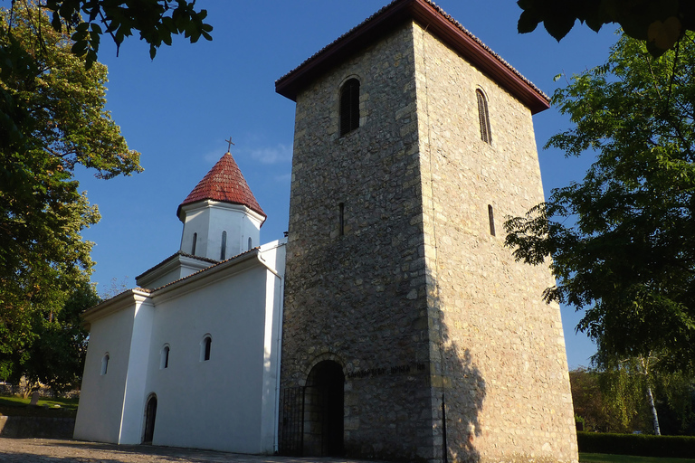 Desde Belgrado: tour de día completo de la dinastía real y Serbia central