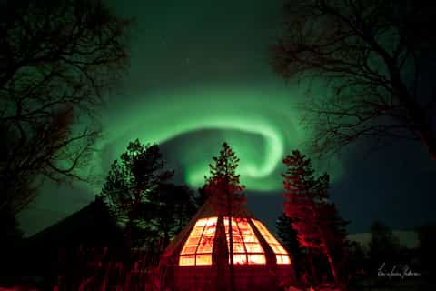 Tromsø: Polarlichter und Husky-Erlebnis inklusive Dinner