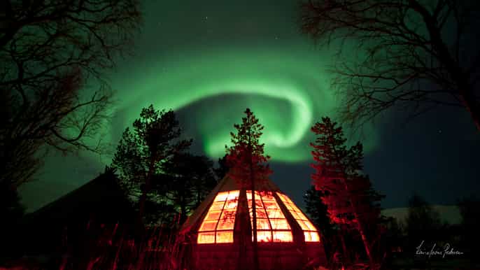 tromsø northern lights and husky experience with dinner