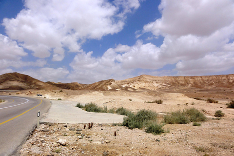 Masada Fortress and Dead Sea Private Tour