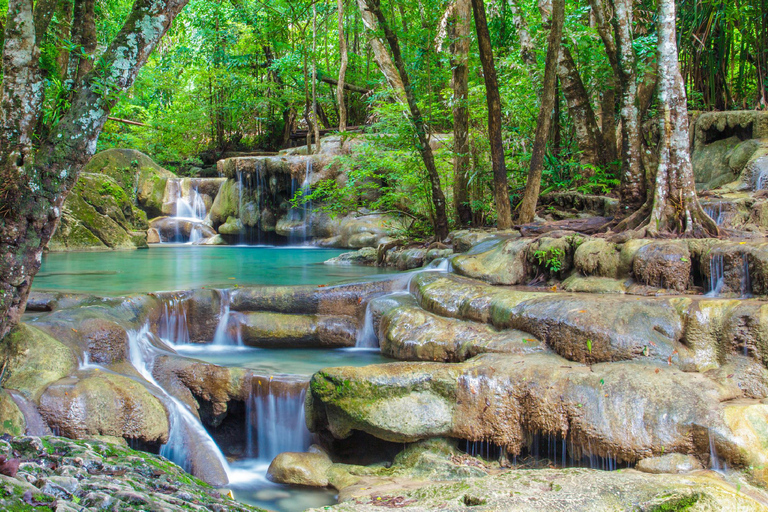 Bangkok to Elephants World&amp;Erawan Waterfall in KanchanaburiFrom Bangkok: Kanchanaburi Day Trip with Elephants World