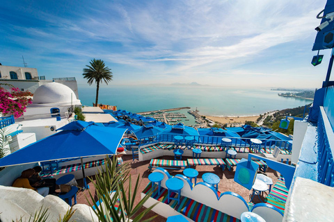 Sousse: Tunis Carthage & Sidi Bou Said & Medina Guided Tour German Tour Guide