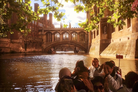 Cambridge: tour guiado en "punt"Tour privado