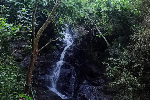Foz do Iguaçu: Biking Tour to Aguaray