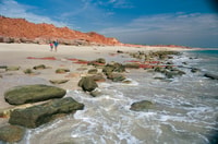 Broome, Dampier Peninsula 4WD Tour & optionaler Rückflug - Hizvo