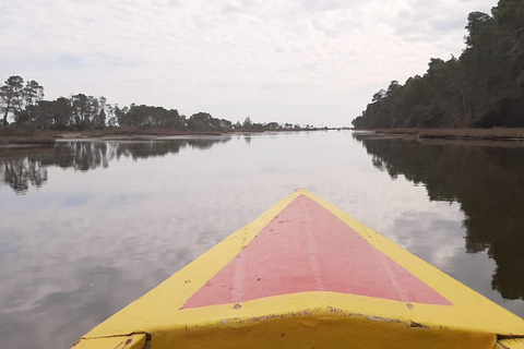 From Tirana/Durres/Golem: Karavasta Lagoon & Divjaka Tour Private Tour from Golem: Karavasta Lagoon & Divjaka Forest