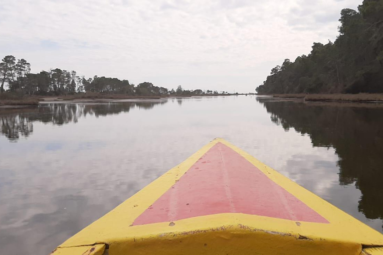 From Tirana/Durres/Golem: Karavasta Lagoon & Divjaka Tour Private Tour from Golem: Karavasta Lagoon & Divjaka Forest
