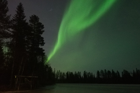 Rovaniemi: experiência noturna da Lapônia com jantar