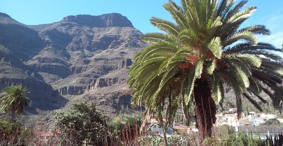 8-Hour Gran Canaria Island Highlights Tour from Las Palmas