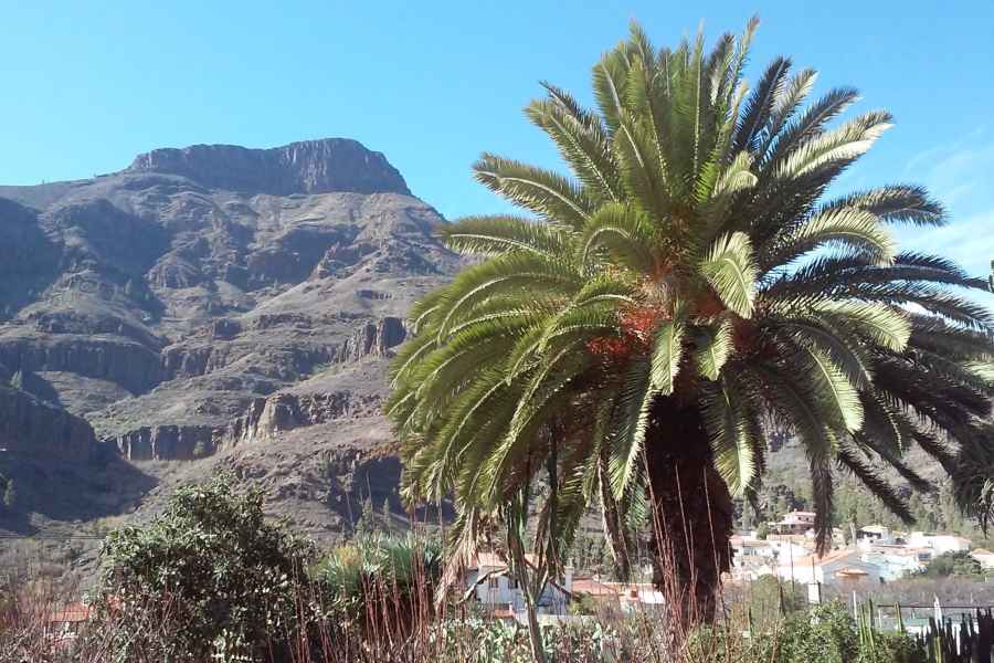 Las Palmas: 8-stündige Gran Canaria Insel Highlights Tour. Foto: GetYourGuide