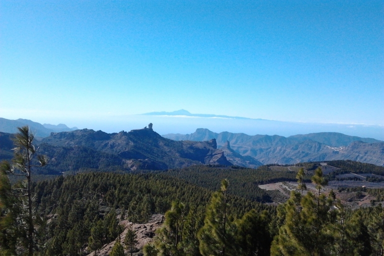 Gran Canaria: tour tranquilo de 8 horas desde Las PalmasGran Canaria: tour tranquilo de 7 horas desde Las Palmas