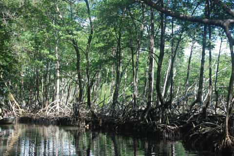 los haitises national park tour