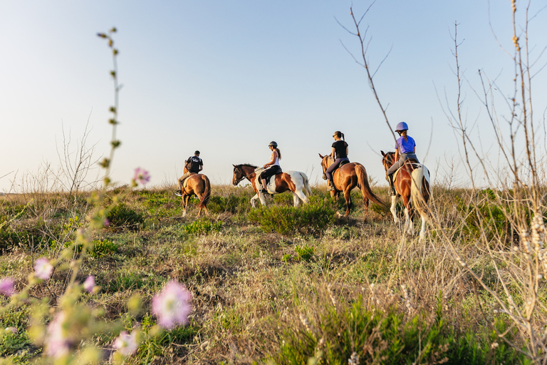 Héraklion : Randonnée à cheval dans les montagnes crétoises