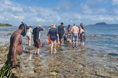 Port Vila: Kayaking & Snorkelling Tour with Turtles & lunch Full Day - Kayaking & Snorkeling Tour with Lunch & Pickup