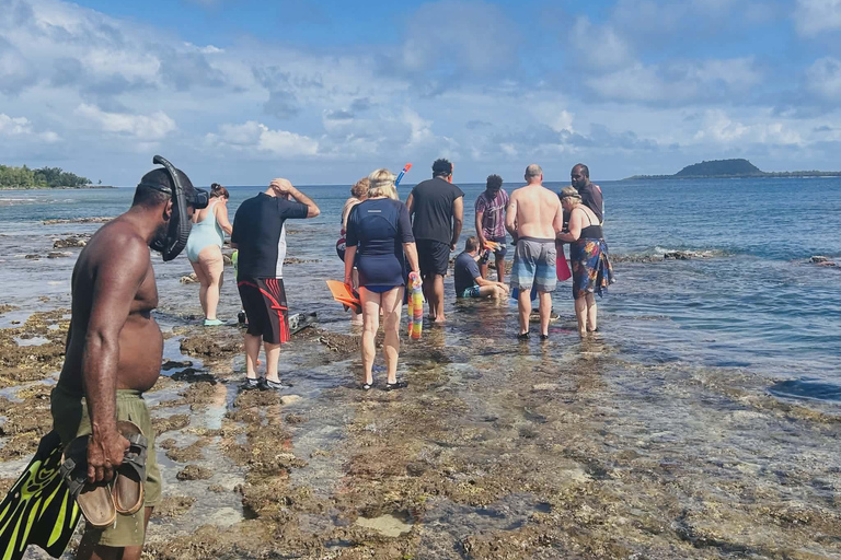 Port Vila: Kayaking & Snorkelling Tour with Turtles & lunch Full Day - Kayaking & Snorkeling Tour with Lunch & Pickup