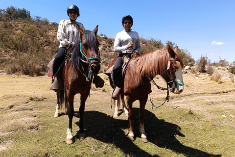 Reitabenteuer in Cusco