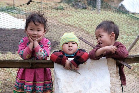 From Sapa: 1D Local Bac Ha Sunday Market Tour - Best Seller Bac Ha Market Tour with Local Lunch ( Lunch Included )