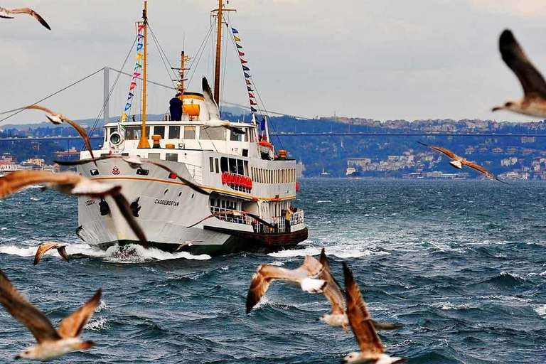 Stambuł: całodniowy rejs po Bosforze w małej grupie z lunchemStambuł: Całodniowa mała grupa Bosphorus Cruise z lunchem