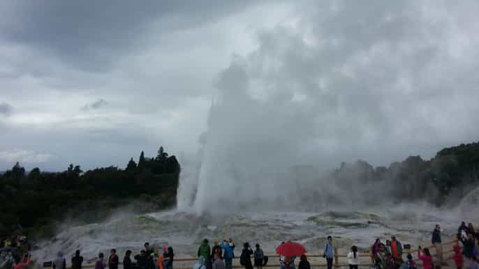 highlights di rotorua e tour del villaggio maori da tauranga
