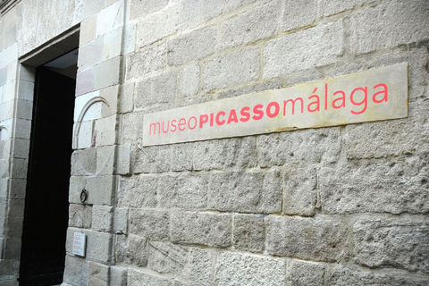 Málaga: visita guiada privada de 2 horas ao Museu Picasso