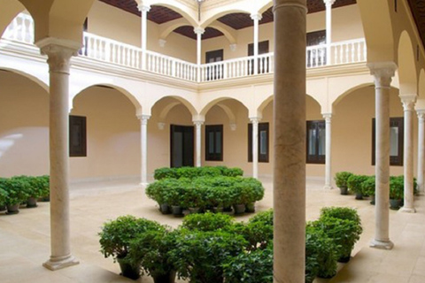 Málaga: 2-Hour Picasso Museum Private Guided Tour