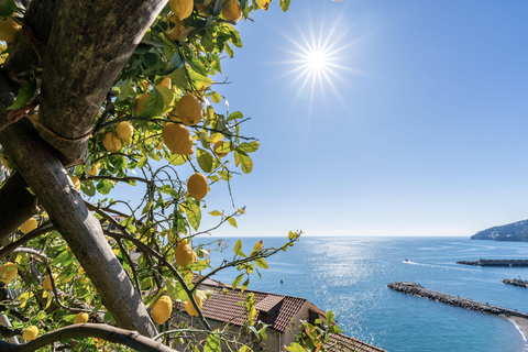 Enter the panoramic lemon grove of Amalfi with an aperitif
