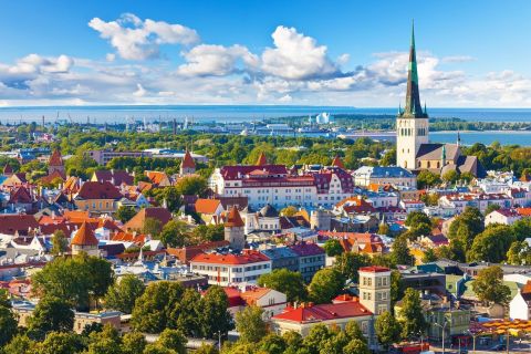 Van Helsinki: Tallinn begeleide dagtour per veerboot