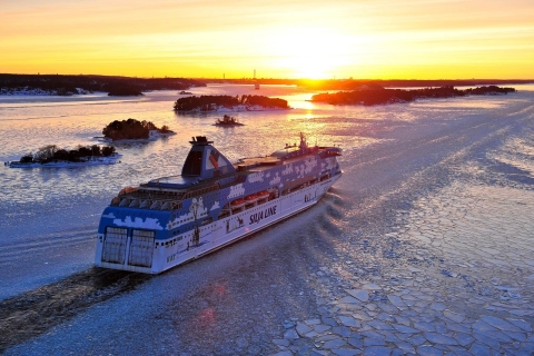 Depuis Helsinki : visite guidée d'une journée à Tallinn en ferryVisite avec transfert à l'hôtel