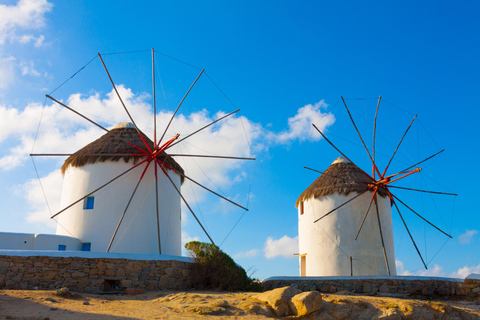 Mykonos : Une excursion parfaite d&#039;une demi-journée depuis votre bateau de croisière